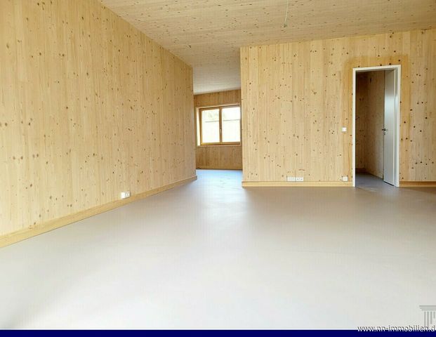 Mietobjekt - Freiburg KIRCHHOFEN - FAMILIENWOHNUNG BEI FREIBURG - NEUBAU - NACHHALTIG MIETEN! - Photo 1