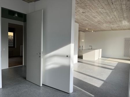 Einzigartige Pavillonwohnung im Domino mit sep. Zugang ¦ Erstvermietung - Photo 3