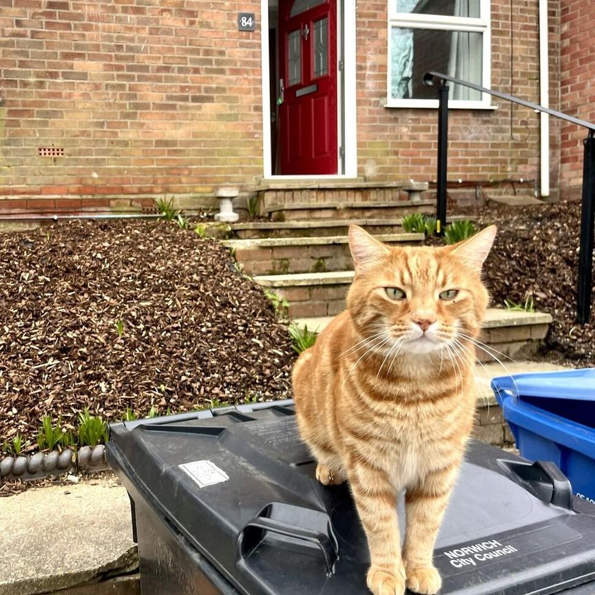 1 bedroom in a house share to rent - Photo 1