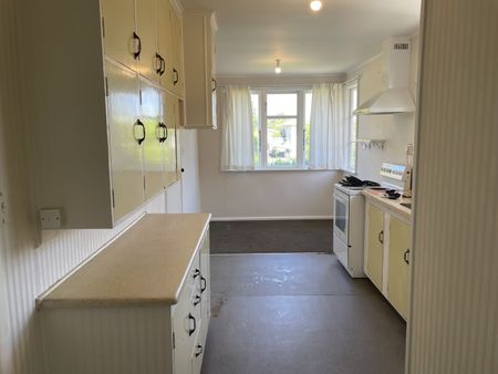 Seddon Crescent, Marewa - Photo 5