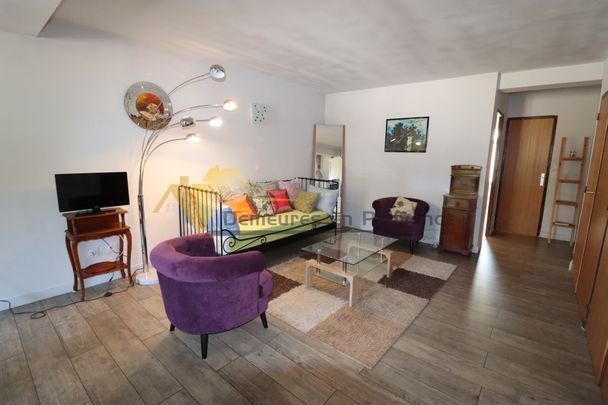 Location Appartement 2 pièces 54m² VAISON LA ROMAINE 84110 - Photo 1