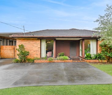 24 Tirana Street, Mitcham - Photo 5