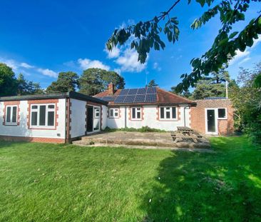 4 bedroom semi-detached house to rent - Photo 4