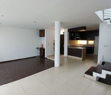 CASA RENTA,FRACCIONAMIENTO,PUNTO SUR,REAL A COLIMA,LOPEZ MATEOS - Photo 4
