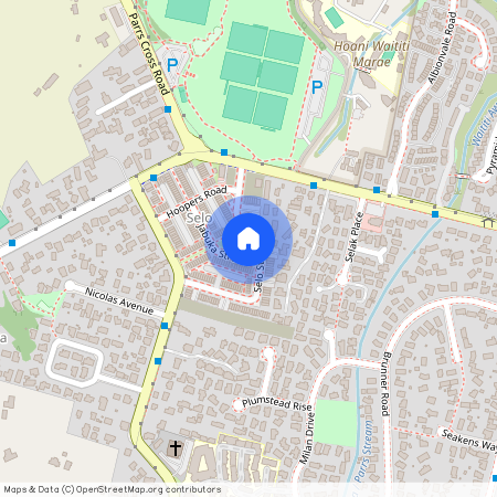 62 Selo Street, Glen Eden, Waitakere City