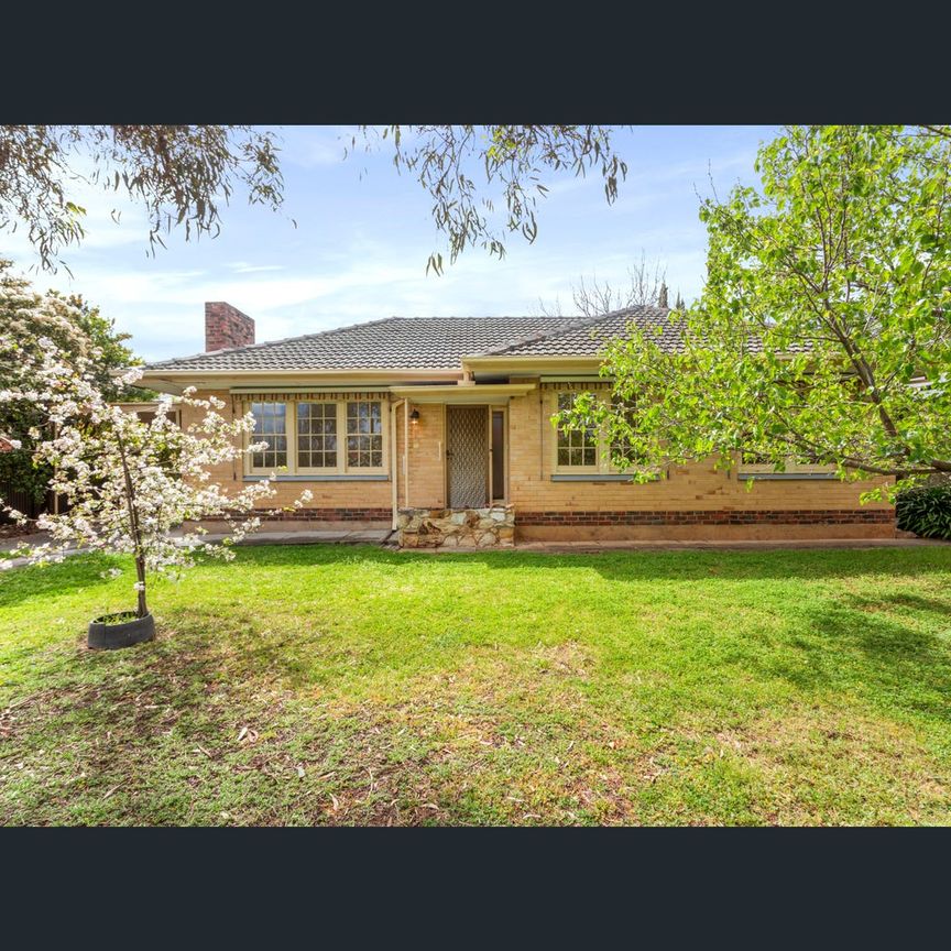 1 Crowder St, Lower Mitcham, SA 5062 - Photo 1