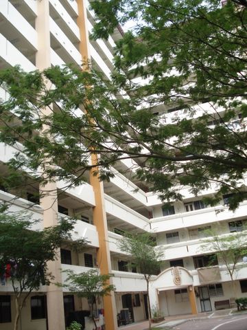 Blk 13 TOA PAYOH COURT (Toa Payoh), HDB 3 Rooms - For Rent - Photo 4