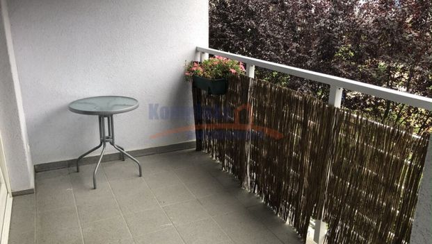 Gumieńce, ul. Polskich Marynarzy, Szczecin - Фото 1