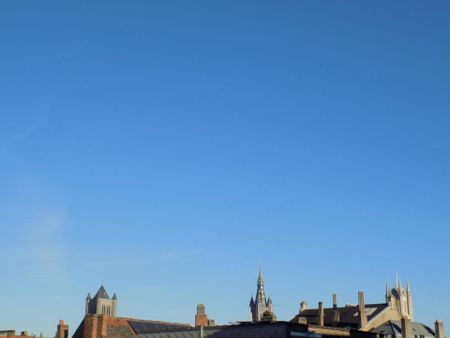 Gerenoveerd karakterappartement op topligging centrum-Gent. - Photo 3