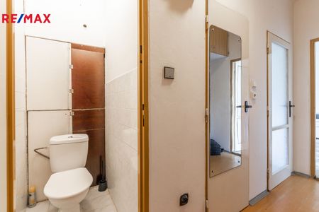 Pronájem bytu 2+1 v osobním vlastnictví 51 m², Praha 6 - Vokovice - Fotografie 3
