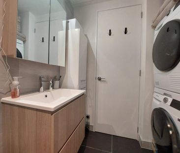 1 Bedroom mordern apartment - Handbag dog or Cat is welcome! - Photo 1