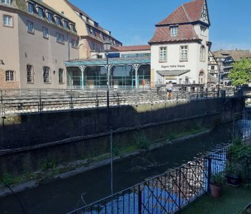 Location appartement 2 pièces 76 m² à Strasbourg (67000) - Photo 6