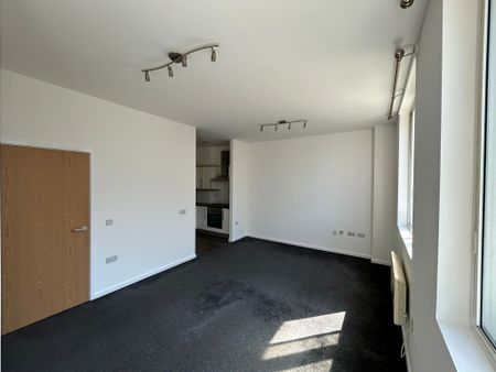 Salubrious Court, Salubrious Passage, Swansea, SA1 3RT - Photo 2