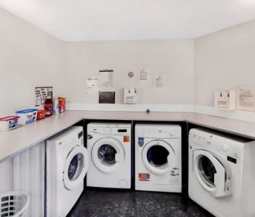 Deluxe Studio - Photo 5