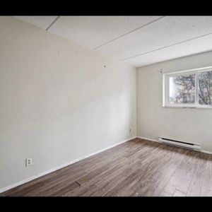 BEL APPARTEMENT A LOUER SUR GATINEAU - Photo 3