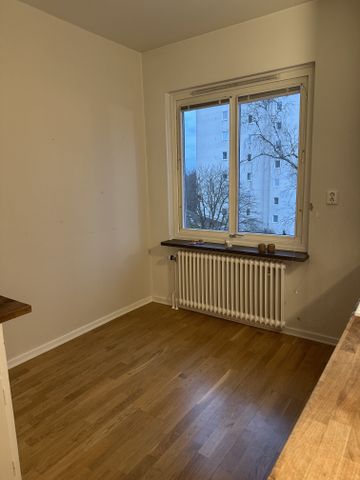 Doktor Liborius Gata, Göteborg - Foto 5