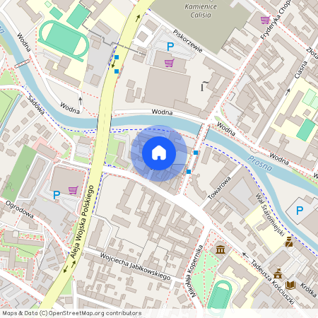 ul. Szkolna, Śródmieście, Kalisz, wielkopolskie