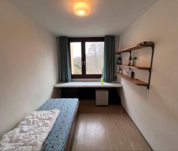 Wg Zimmer Studentenwohnheim - Photo 1