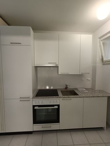 MINUSIO, 1 1/2-ROOM APARTMENT WITH LAKE VIEW - Photo 3