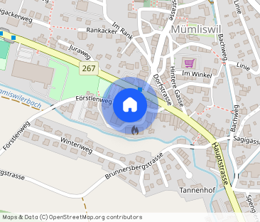 2.5 Zimmer, 60 m² - Photo 1