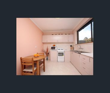 2/34 Gatton Street, Farrer ACT 2607 - Apartment For Rent | Domain - Photo 5