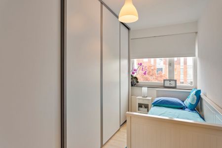 EINDHOVEN, Zandroos - Photo 4