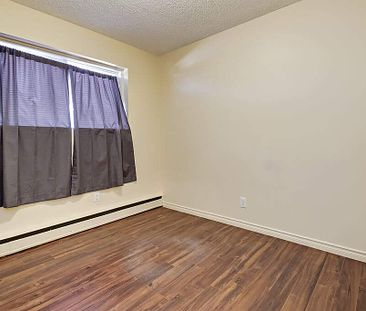 Renovated Suite - 1 Bedroom - Photo 2