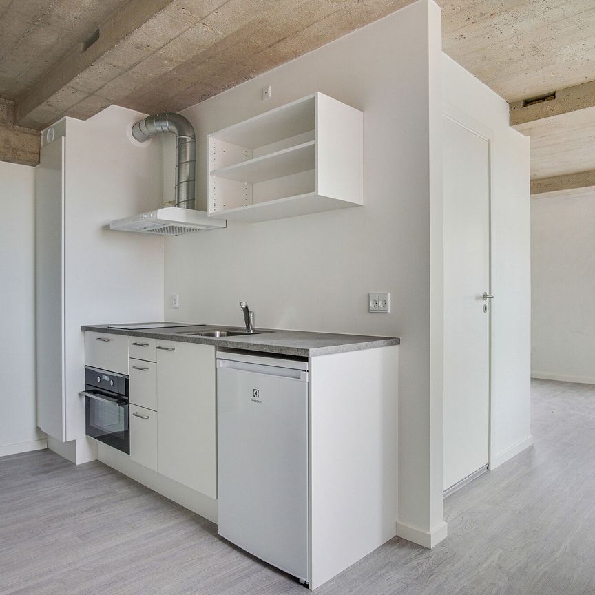 1-vær. lejlighed - Photo 1