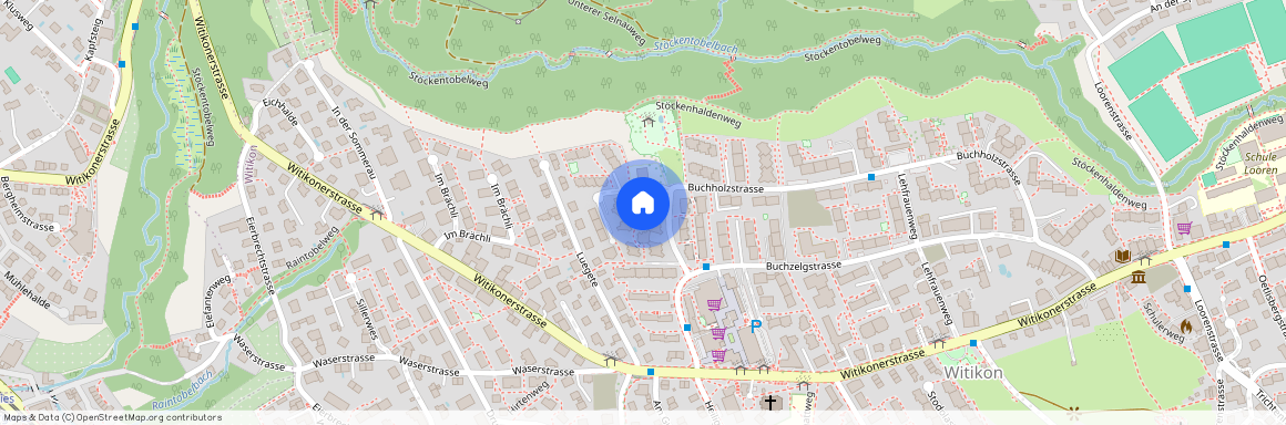 8053, Zürich, Buchholzstrasse, 17