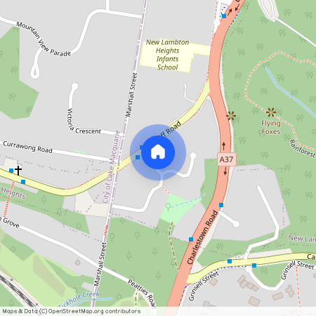 2/2A Beverley Crescent New Lambton Heights NSW