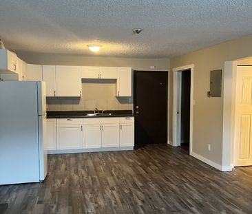 AURORA APARTMENTS - 103 - Photo 4