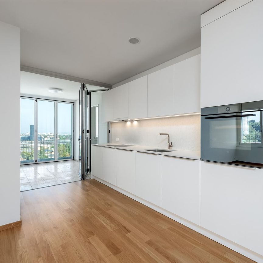 Moderne Wohnung direkt am Dreispitz - Photo 1