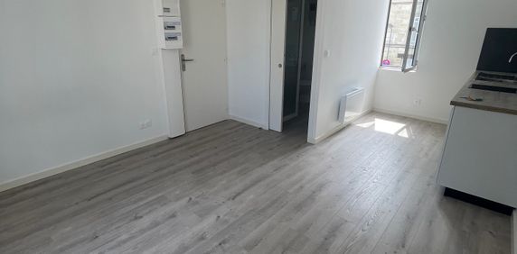 Location Appartement 1 pièce 20m² - Photo 2