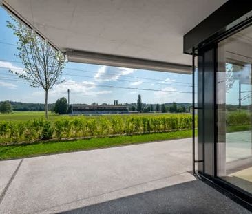 2.5 Zimmer, 64 m², EG - Foto 6