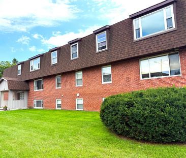 Lewis Court Apartments - ALL INCLUSIVE - Photo 5