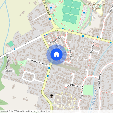 6 Selo Street, Glen Eden, Waitakere City