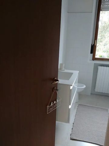 Via Luigi Pellizzo, Padova, Veneto 35128 - Photo 5