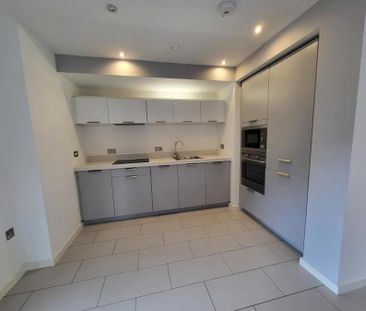 Apt 1.01 :: Ice Plant - Photo 5