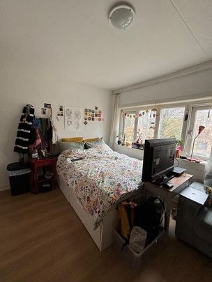 Te huur: Kamer Van Oldenbarneveldtstraat in Arnhem - Photo 1