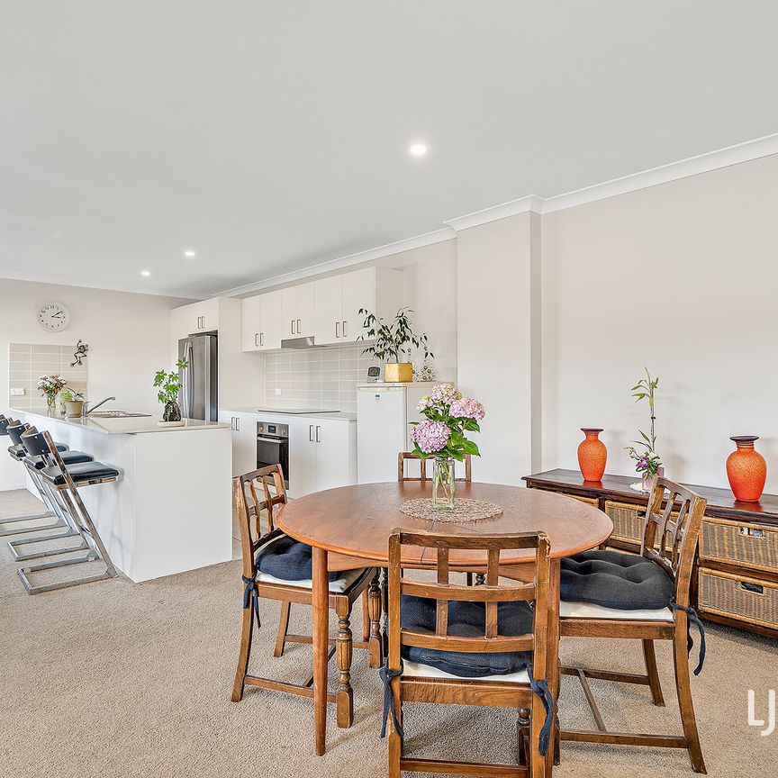 50/20 Bindubi Street, Macquarie ACT 2614 - Apartment For Rent | Domain - Photo 1