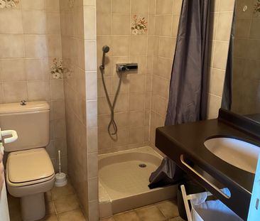 Location Appartement 1 pièce 19m² RODEZ 12000 - Photo 2