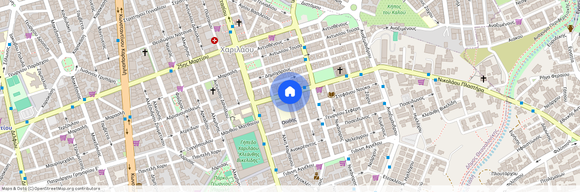 Κωνσταντίνου Καραθεοδωρή, 9, Δημοτική Ενότητα Θεσαλονίκης, 5 (54250), Χαριλάου (Θεσσαλονίκη - Δήμος)