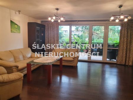 Gołonóg, Storczyków, Dąbrowa Górnicza - Photo 3