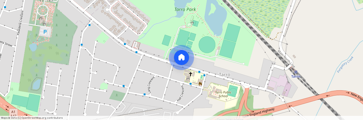 69 Anderson Drive, NSW 2322, Tarro