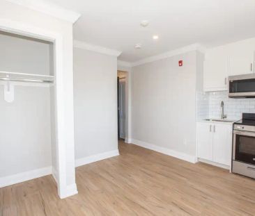 81 Empire Street - 3 — Bachelor - Photo 2