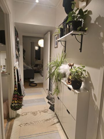 Hörle Björkelund 1 - Photo 3