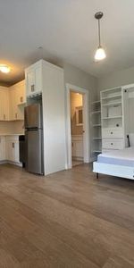 Tiny Condo Under 300SQFT / Murphy Bed Included / Single Occupant Only - Photo 3