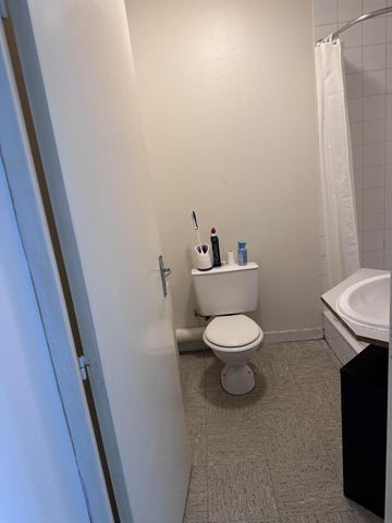 Location Appartement 1 pièce 23m² ANGERS 49100 - Photo 4