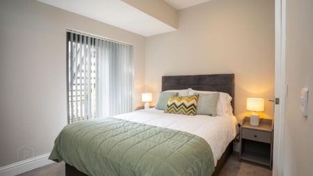 Apt 1, 17 Camden Street, Belfast, BT9 6AT - Photo 3