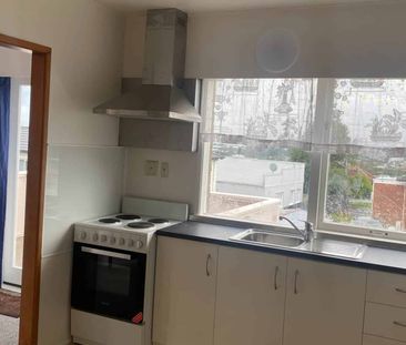 Spacious backyard on Brouder Place! - Photo 2